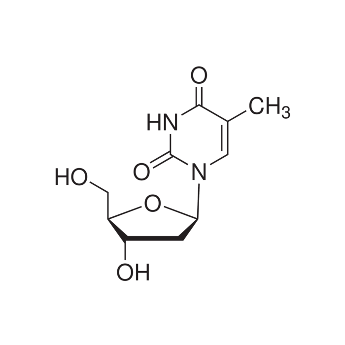 イヒ様 Thymidine N/H