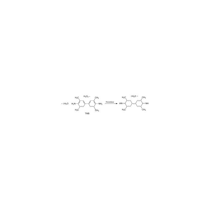 941e8447b31ccd26109940057223db