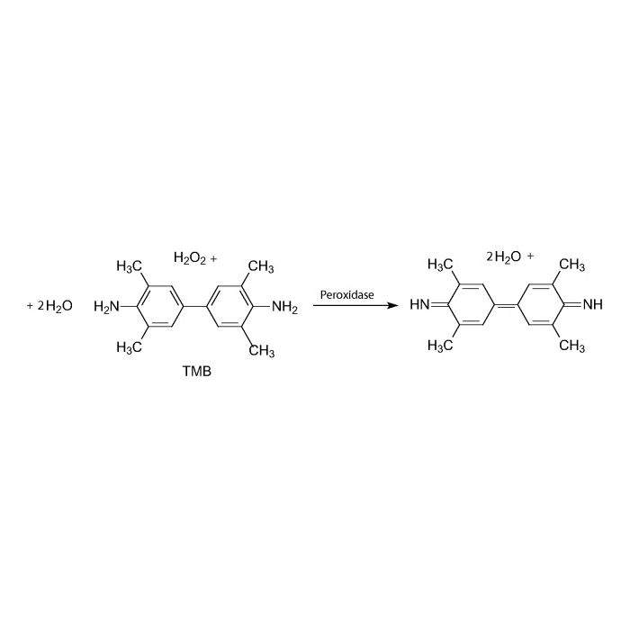 ‪@tagggg1012‬ ページ 3,3',5,5'-Tetramethylbenzid
