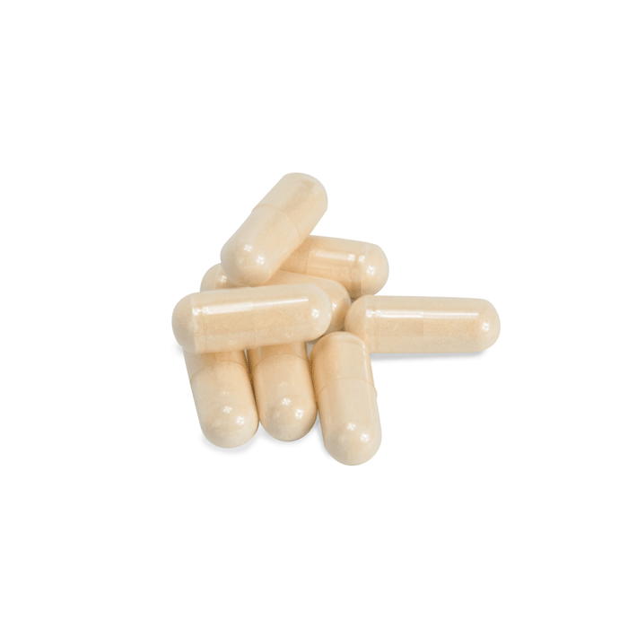 LB-AGAR, LENNOX (CAPSULES)