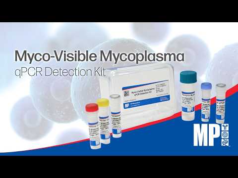 Myco-Visible Mycoplasma qPCR Detection Kit | Fast, Sensitive & Reliable Detection