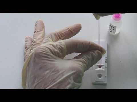 Discover MP Biomedicals EMEA Rapid 2019-nCoV IgG/IgM Combo Test