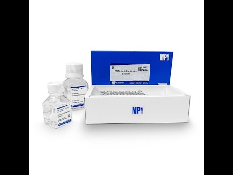 RNAintact Stabilisation Solution