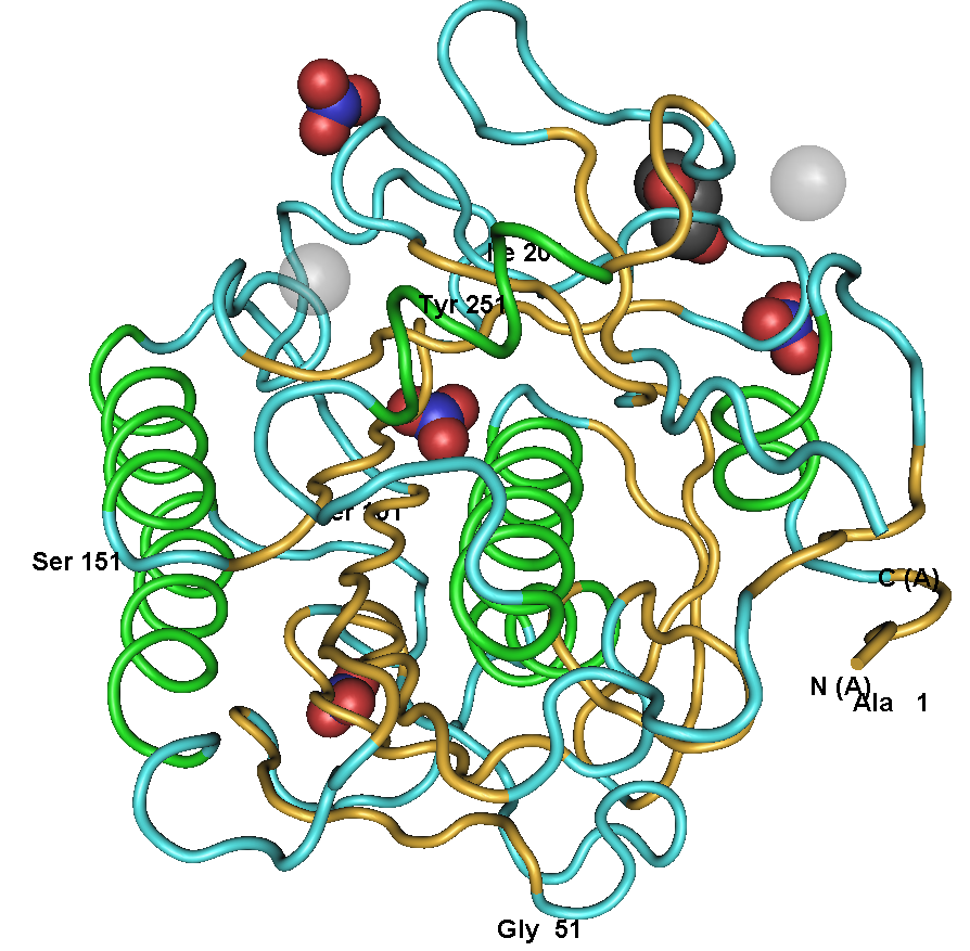 ryuzenです。 Proteinase K