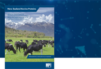 New Zealand Bovine Proteins