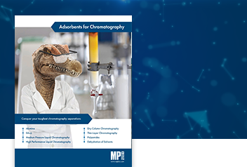 Adsorbents for Chromatography