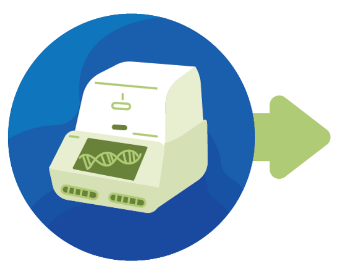Run the qPCR Reaction