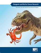 Cancer Brochure