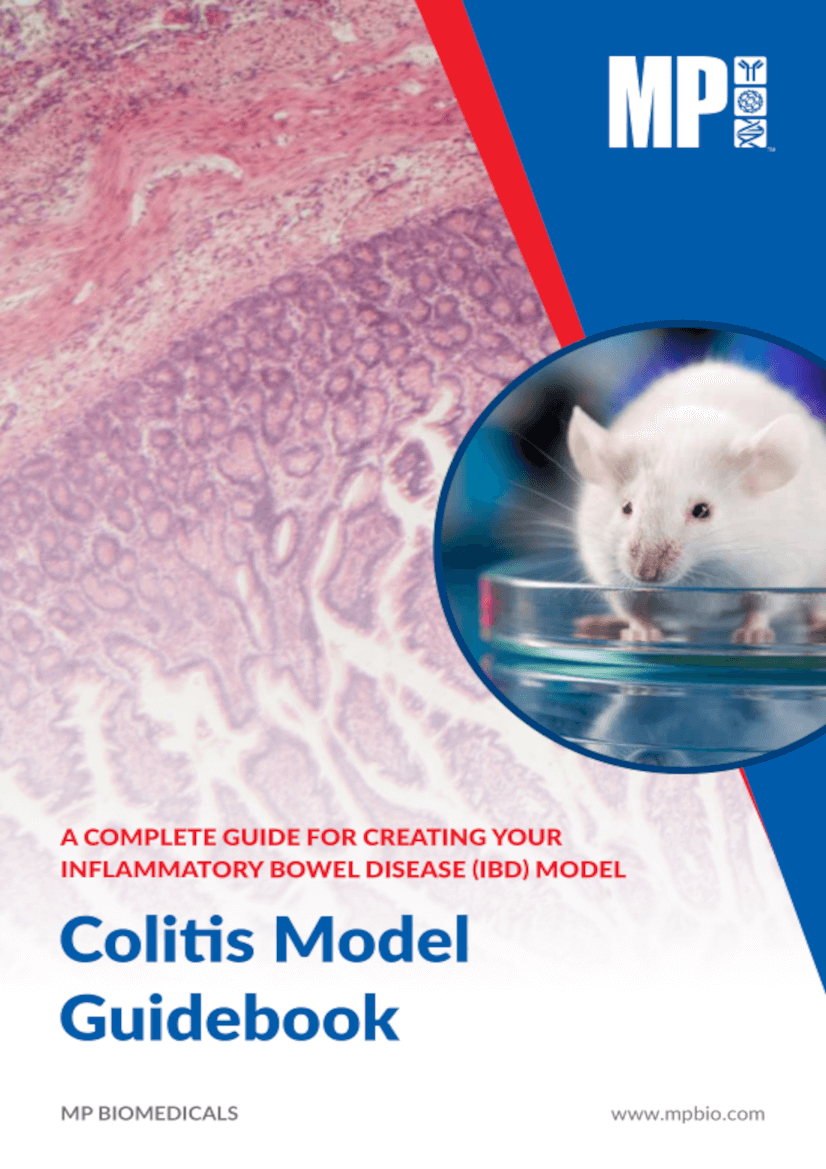 Dextran Sodium Sulfate for Colitis Model Guidebook