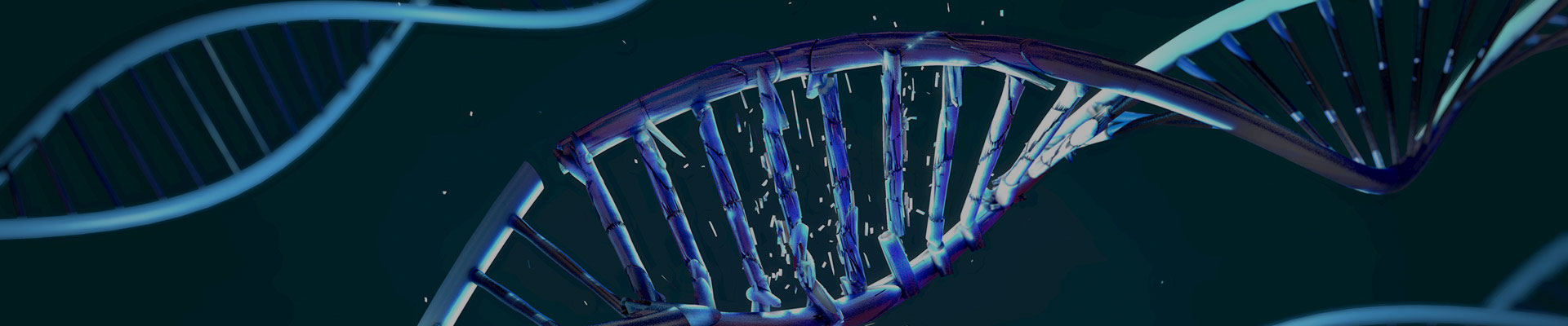 High-Throughput DNA Shearing with FastPrep
