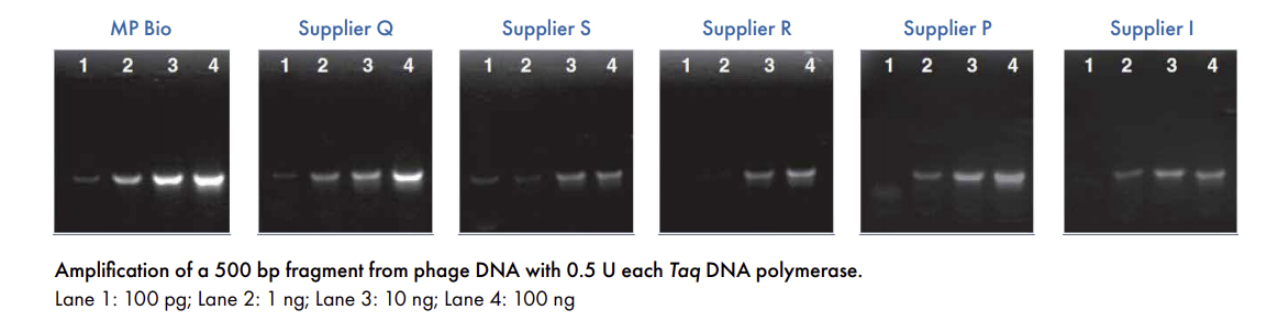Driving Reproducible PCR with High Quality Taq Polymerase
