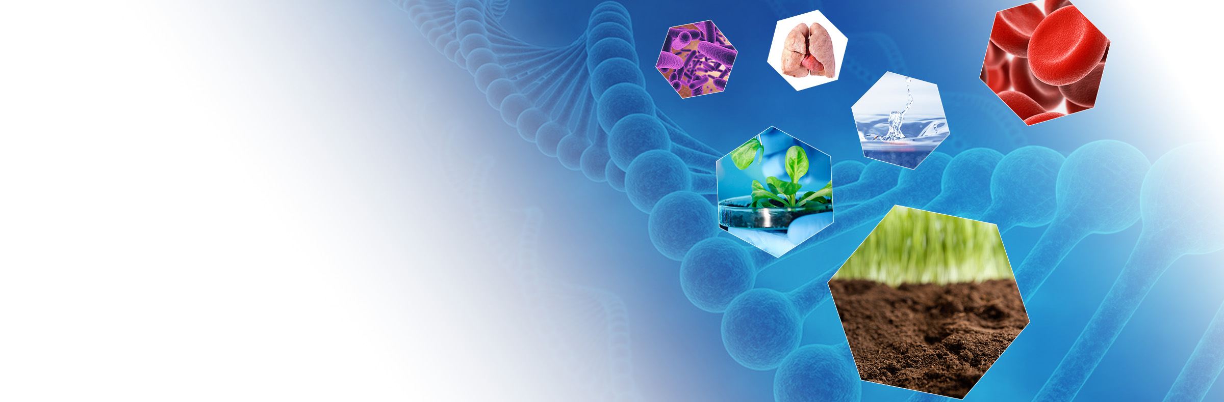 SPINeasy DNA, RNA, and Protein extraction and purification kits launches