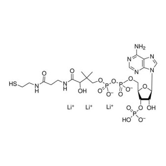 Coenzyme A, trilithium salt, dihydrate, ≥96%