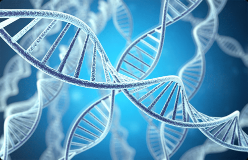 Nucleic Acid Extraction