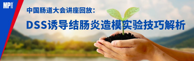 中国肠道大会讲座回放:DSS诱导结肠炎造模实验技巧解析