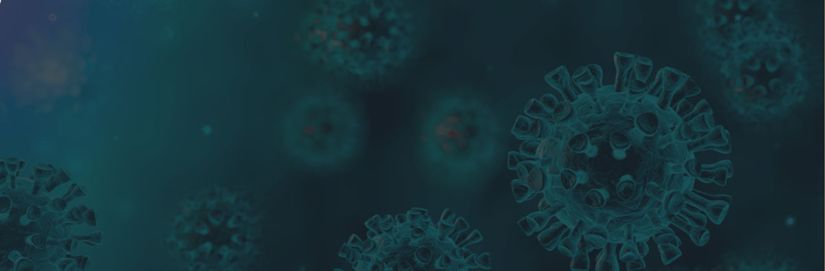 SARS-CoV-2 Research Products