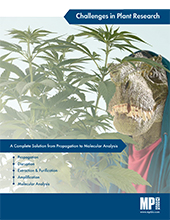 Challenges in Plant Research
