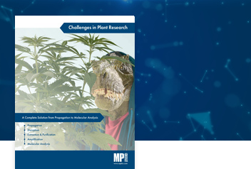 Challenges in Plant Research