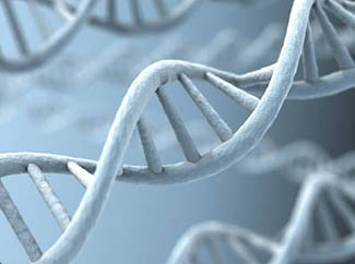 Extraction & Purification: Make your experiments easy