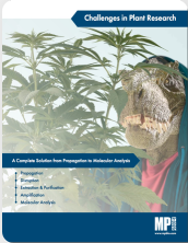 Challenges in Plant Research