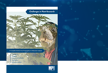 Challenges in plant research