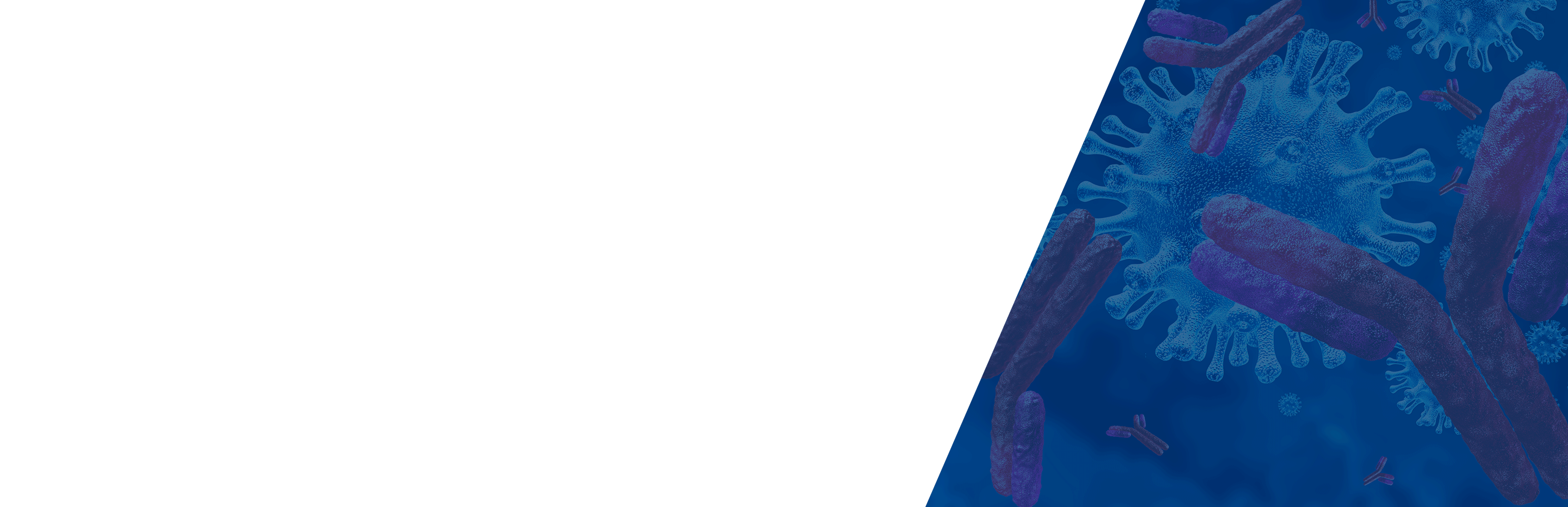 MP Biomedicals launches SARS-CoV-2 Products for Covid-19 Research