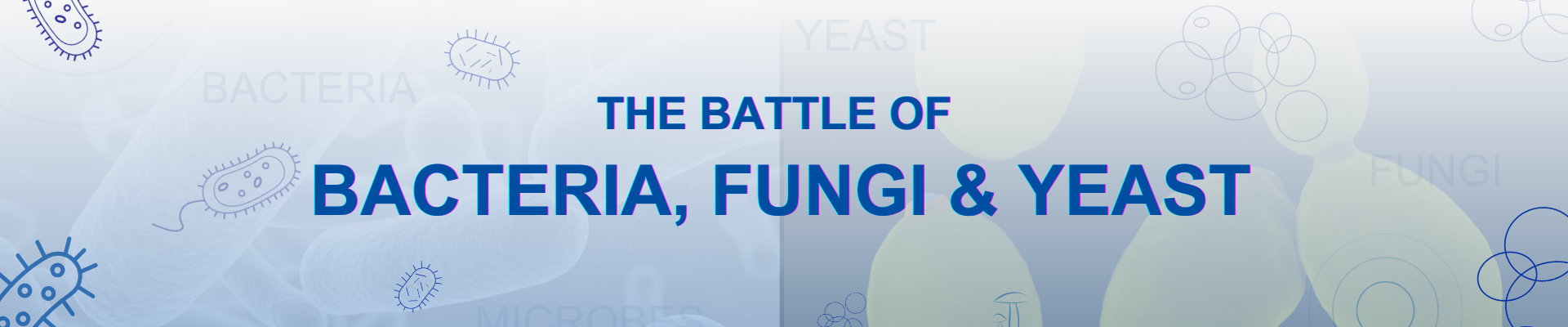The battle of fungi bacteria and yeast test