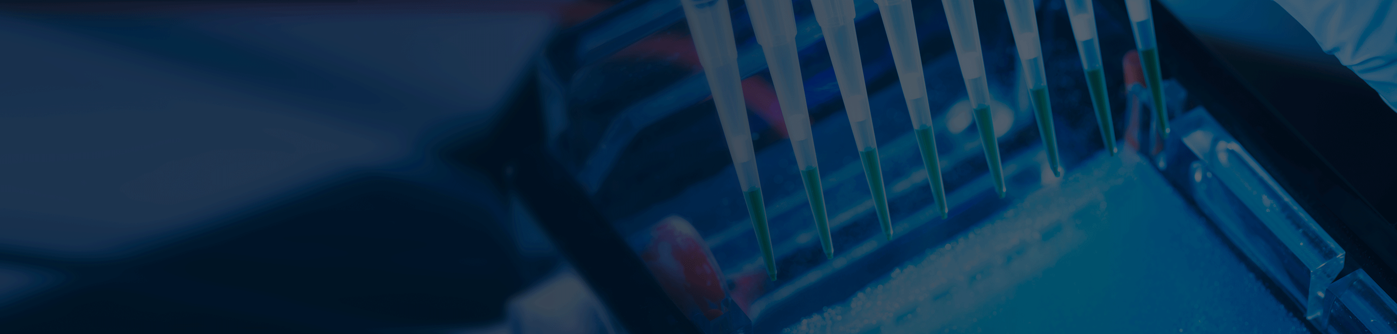 MP Biomedicals launches Precast Gels and Western Blot Reagents that shorten assays