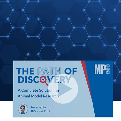 MP Biomedicals Path of Discovery for animal model research Workflow
