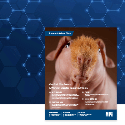 resources_animal-diets-flyer_400x400