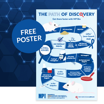 MP Biomedicals Path of Discovery for animal model research