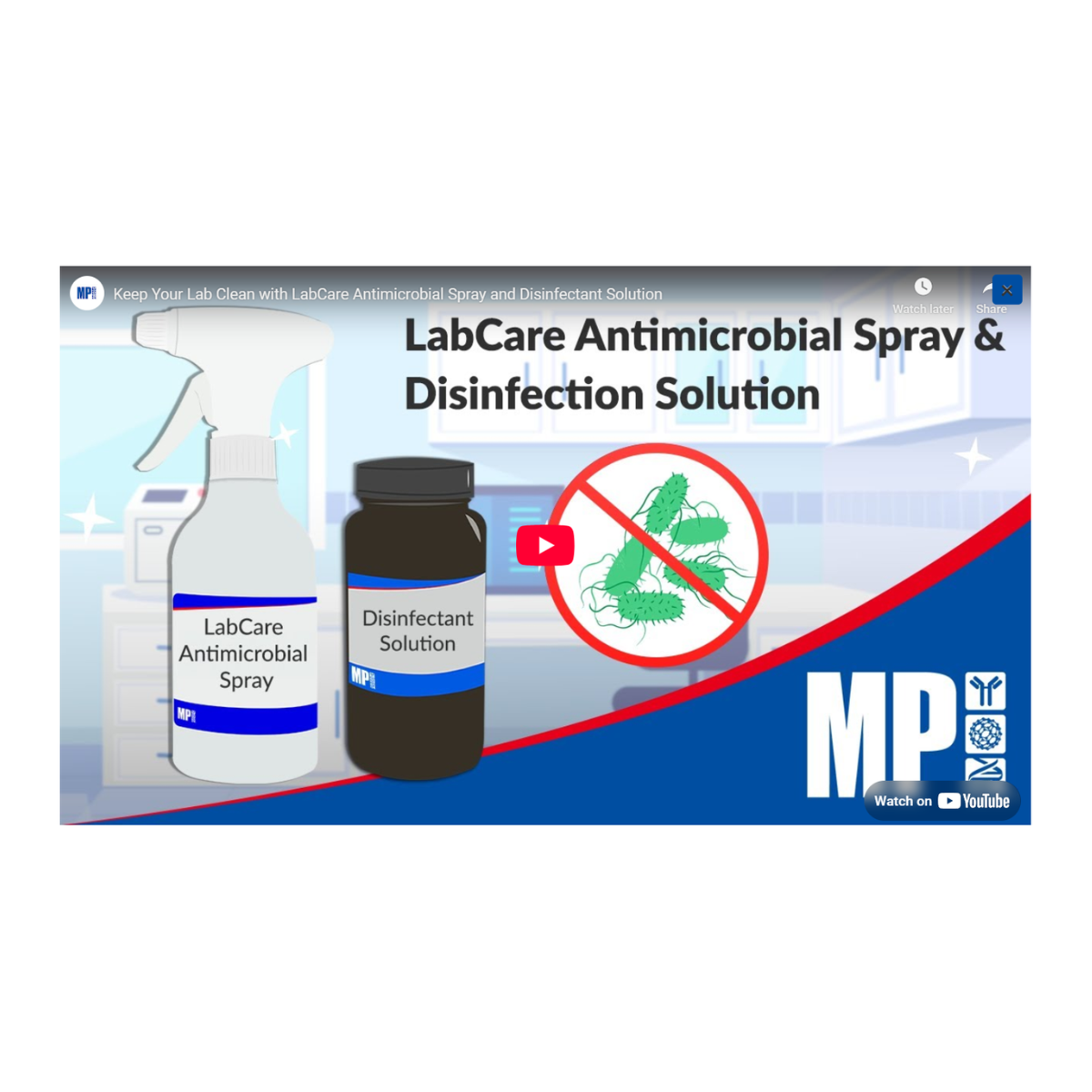 Mycoplasma detection Kit