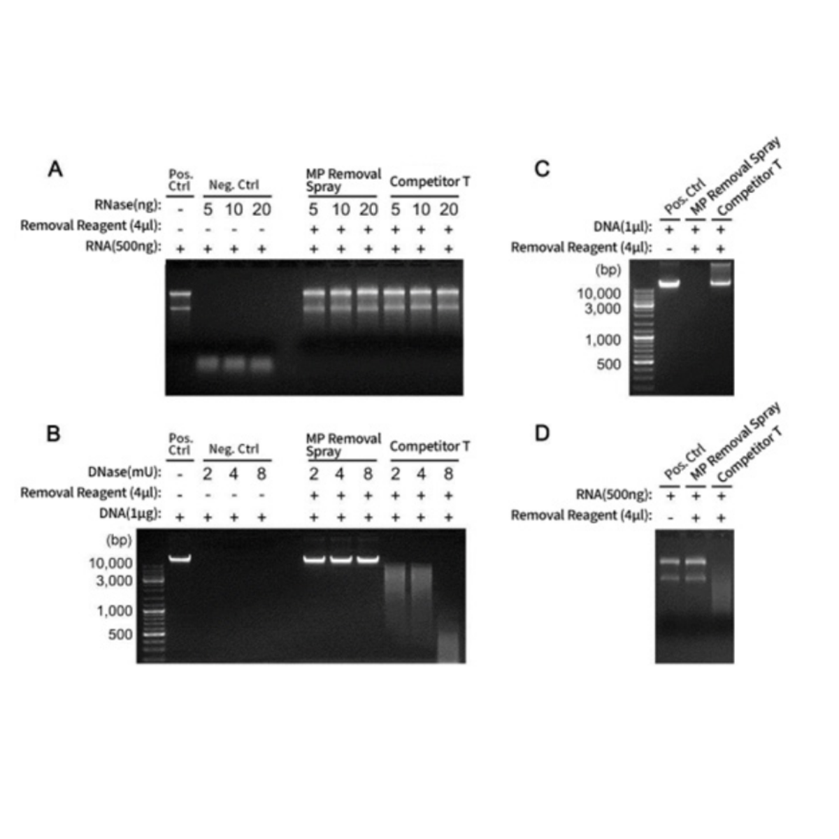 Mycoplasma detection Kit