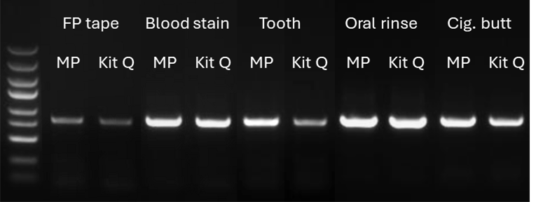 long-fragment_PCR
