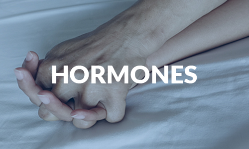 Hormones_web