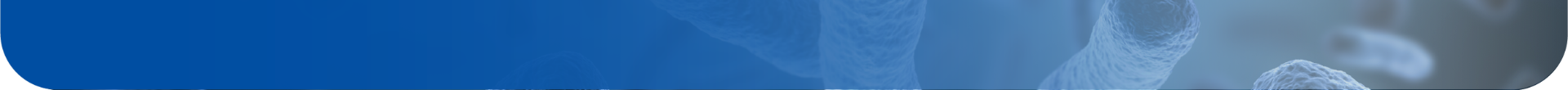 Banner_footer_web