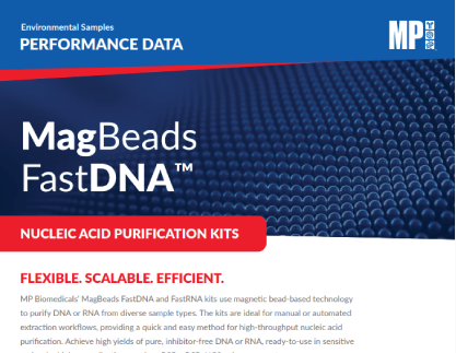 MagBeads Performance Flyer