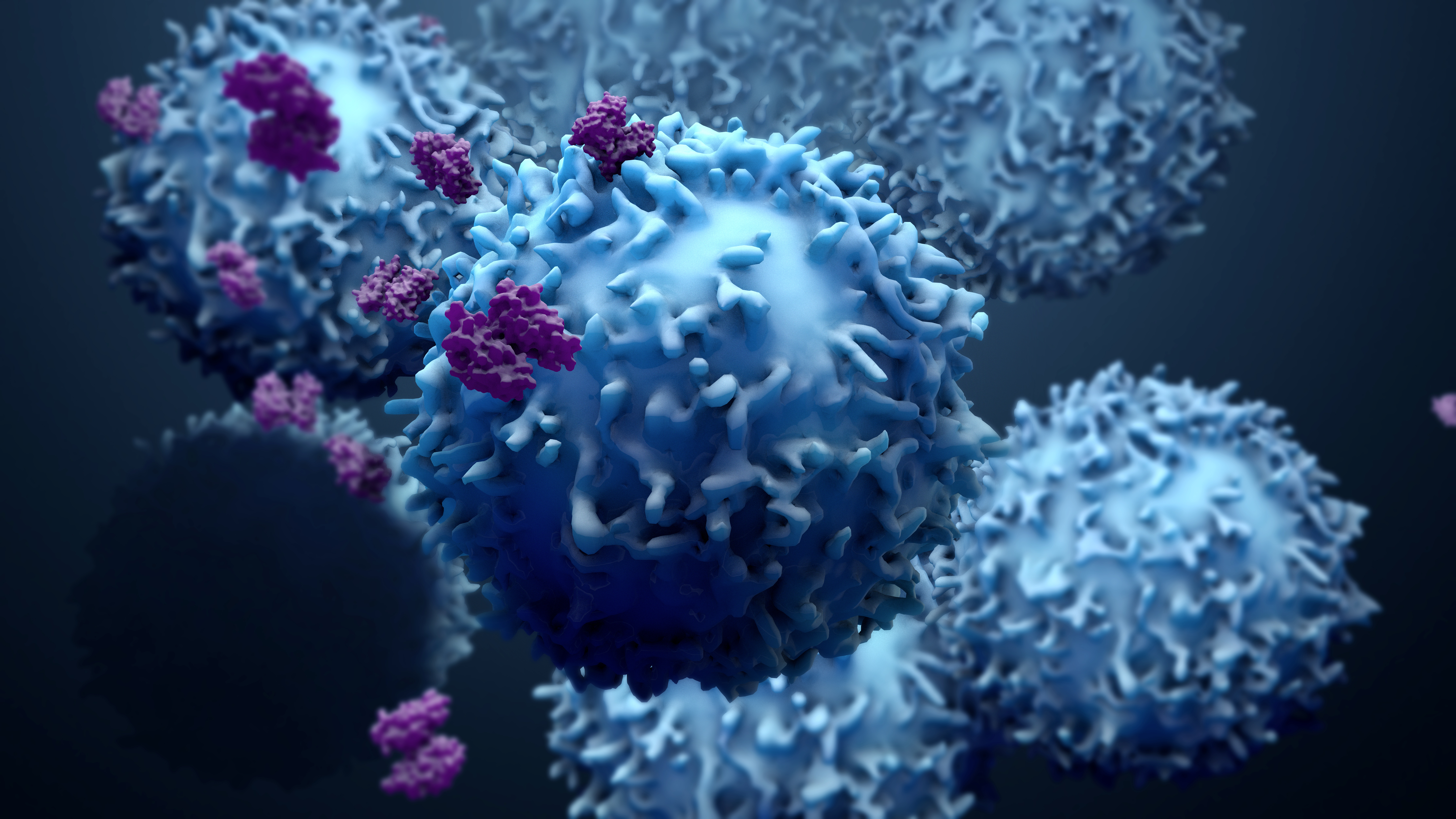 MP Biomedicals Loading and Tag Controls Banner