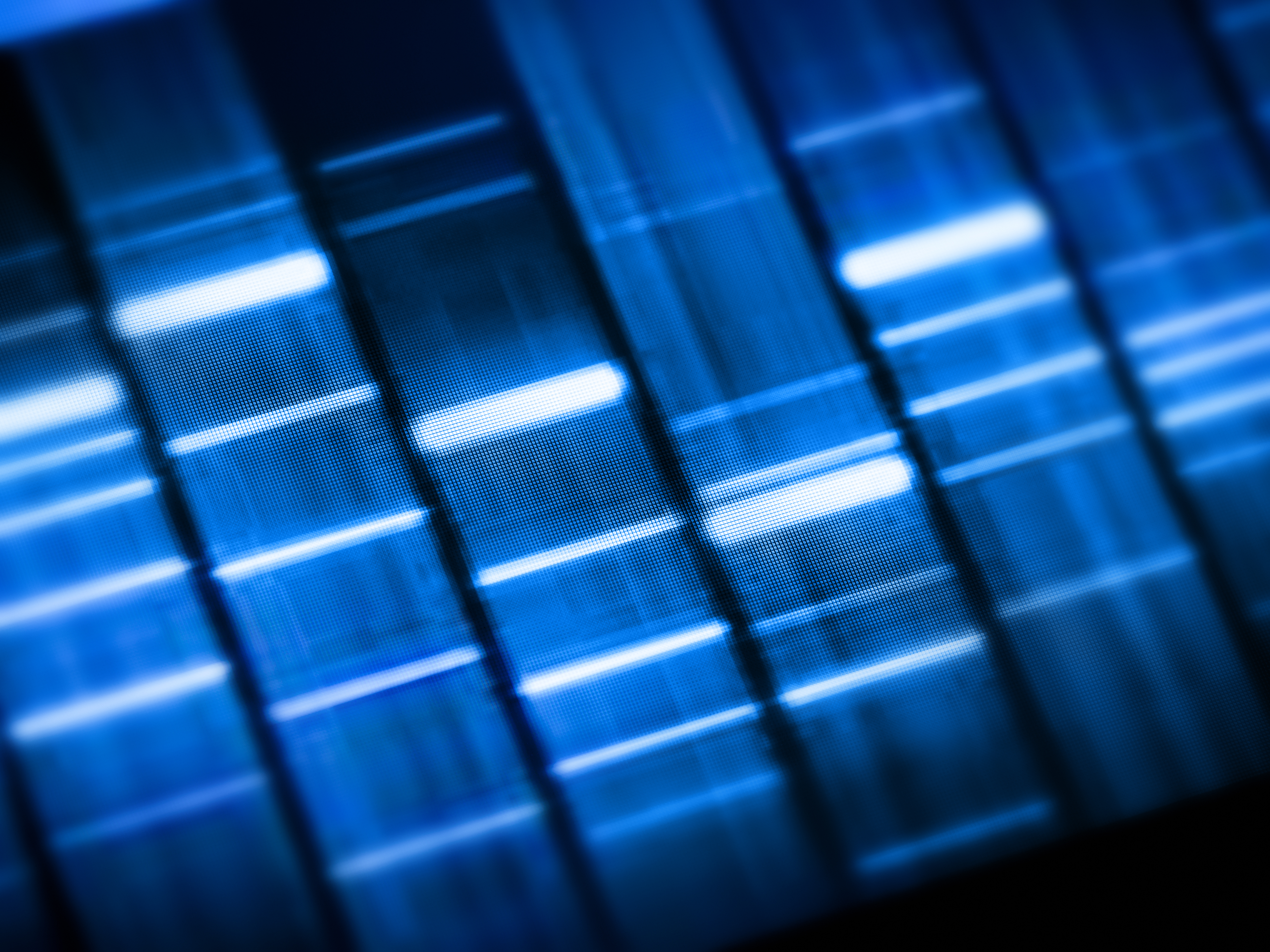 Gene Expression Analysis with PCR