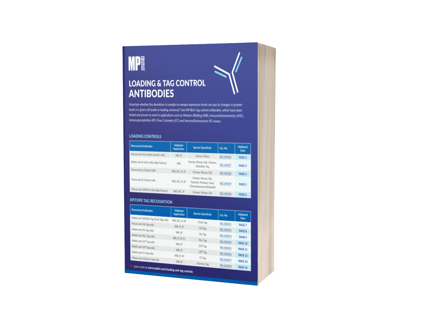 MP Biomedicals Loading and Tag Control Flyer
