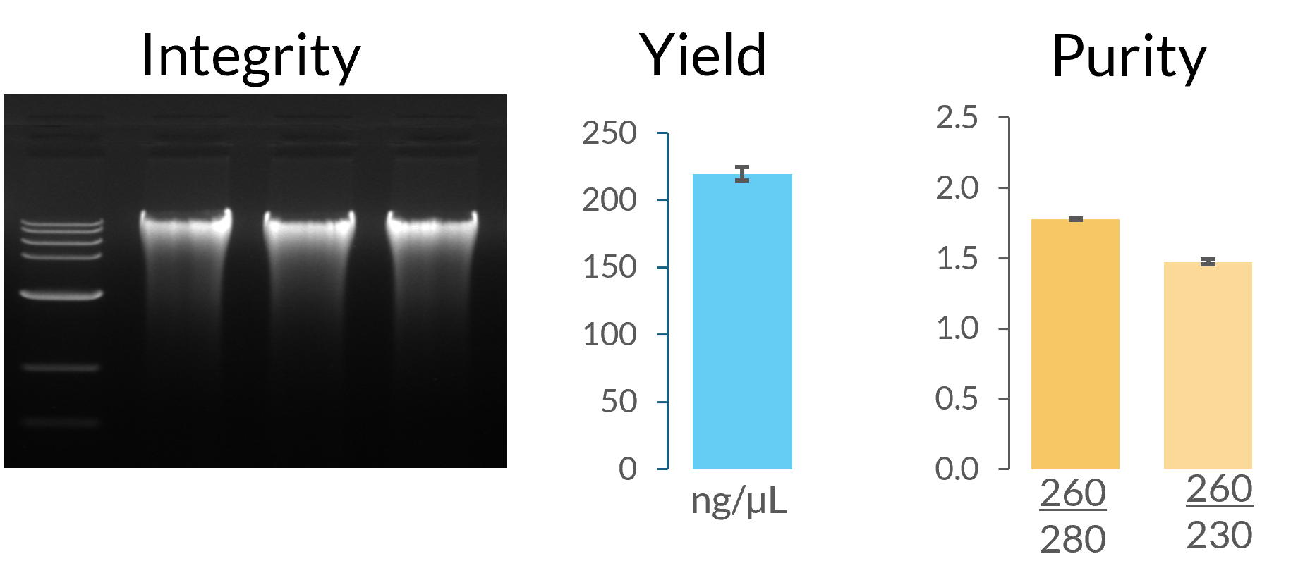 MP Biomedicals MagFlex Soil Performance