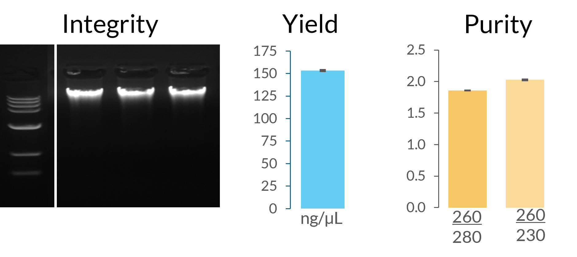 MP Biomedicals MagFlex Feces Performance