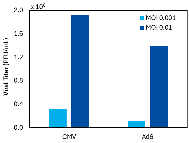 MRC5 CD Medium supports high-yield DNA virus production, ensuring efficient CMV and Adenovirus replication at low MOIs.