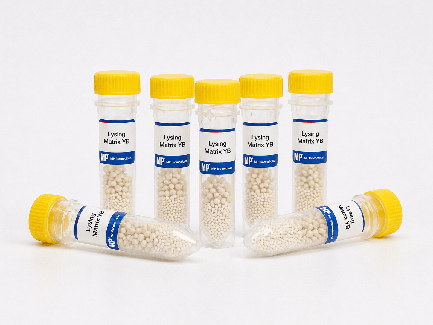 Lysing Matrix Products