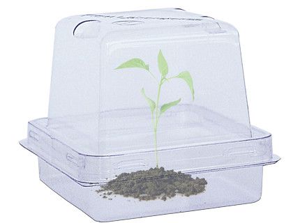 PlantCon™ Plant Container PlantCon™ Plant Container