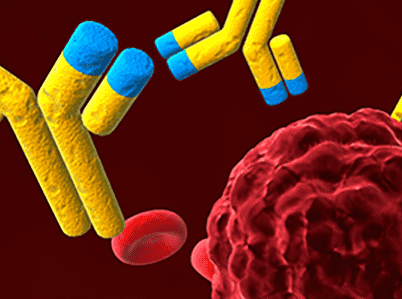 Autoimmune Autoimmune