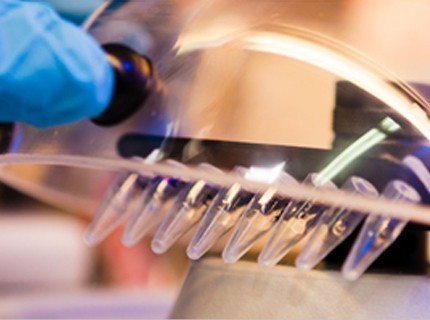 Labware Equipment Labware Equipment