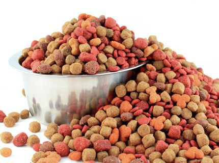 SafTest For Pet Food SafTest For Pet Food