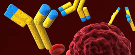 Autoimmune