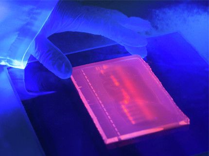 Electrophoresis and Hybridization